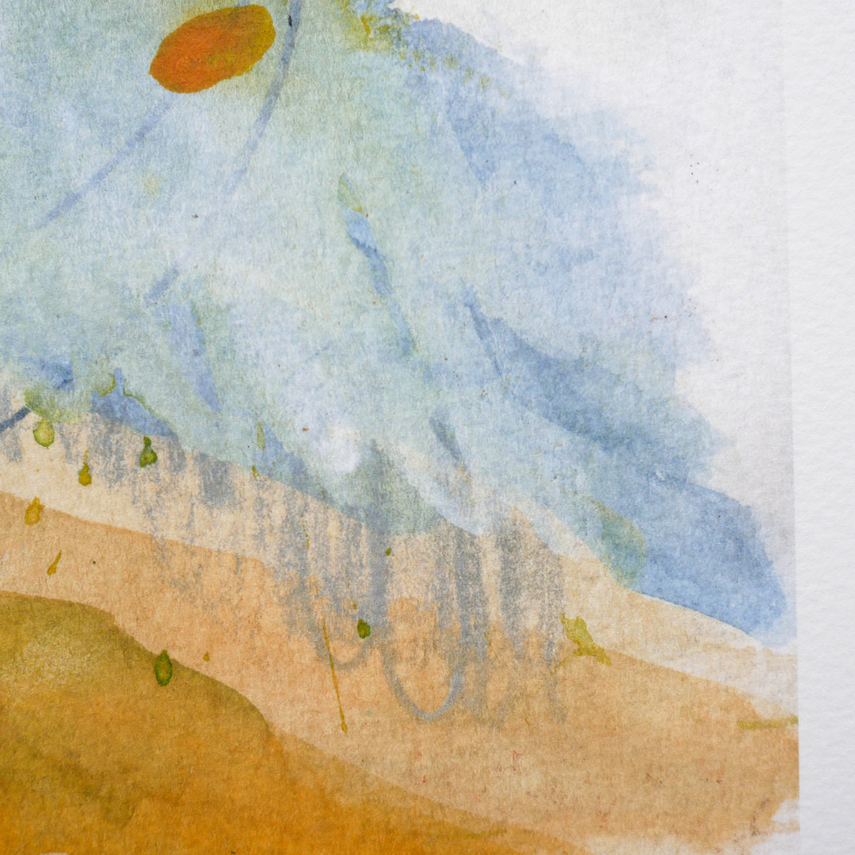 "Forest Secrets" Limited Edition Print